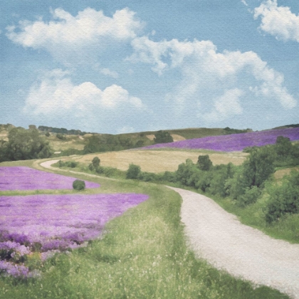 Picture of LAVENDER COUNTRY ROAD