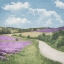 Picture of LAVENDER COUNTRY ROAD
