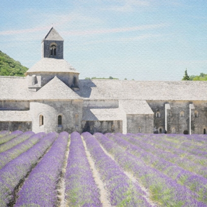Picture of LAVENDER FIELD 5