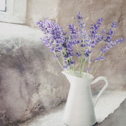 Picture of LAVENDER IN A VASE