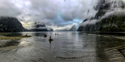 Picture of MILFORD SOUND NEW ZEALANDS SOUTH ISLAND