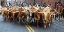Picture of NATIONAL WESTERN STOCK SHOW PARADE