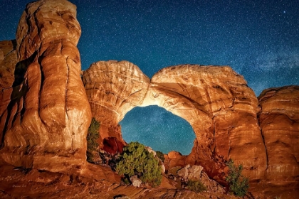 Picture of NIGHT SKY WITH CAMEL-LIKE ROCK FORMATIONS