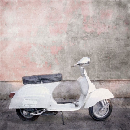 Picture of SOFT WHITE MOPED