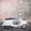 Picture of SOFT WHITE MOPED