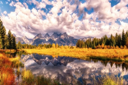 Picture of THE GRAND TETONS RANGE REFLECTION