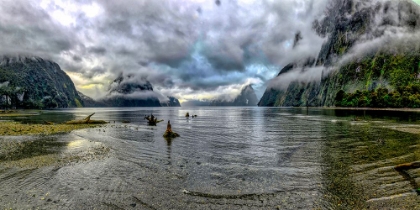 Picture of THE MILFORD SOUND FIORD. NEW ZEALANDS FIORDLAND NATIONAL PARK