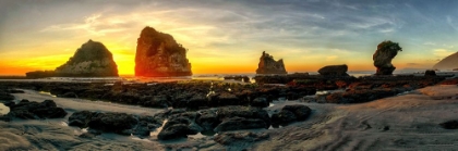 Picture of THE MOTUKIEKIE BEACH PANORAMA IN GREYMOUTH, WEST COAST, NEW ZEALAND