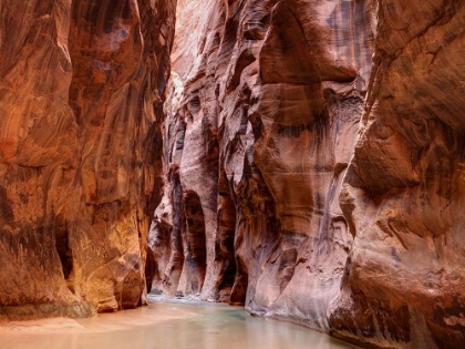 Picture of THE NARROWS, ZION NATIONAL PARK