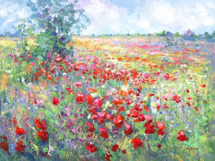 Picture of TUSCAN WILDFLOWER FIELD