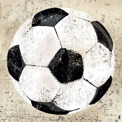 Picture of VINTAGE SOCCER BALL
