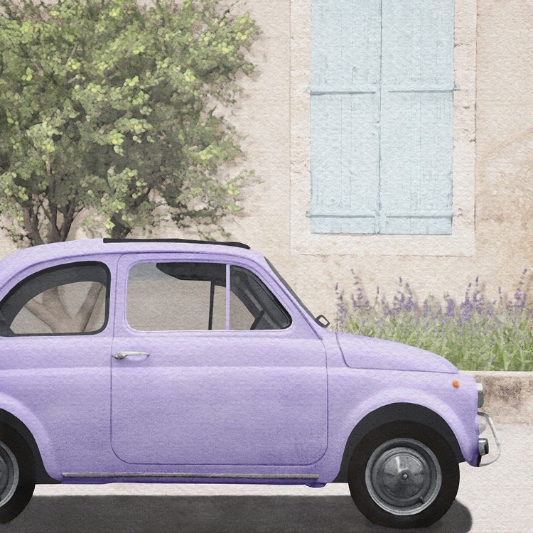 Picture of VINTAGE VIOLET BUG