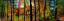 Picture of WALDEN POND FALL FOLIAGE PANORAMA