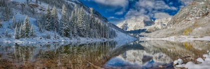 Picture of WINTER MAROON BELLS PANORAMA