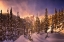 Picture of WINTER SNOW STORM NEAR DREAM LAKE IN ROCKY MOUNTAIN NATIONAL PARK