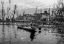 Picture of DAL LAKE VEGETABLE MARKET-1