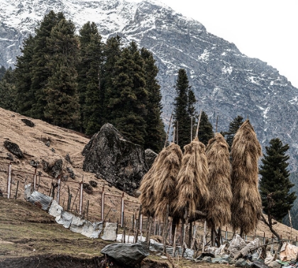 Picture of FRAMES OF KASHMIR-12