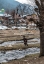 Picture of FRAMES OF KASHMIR-8