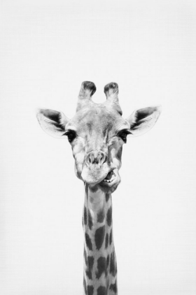 Picture of GIRAFFE