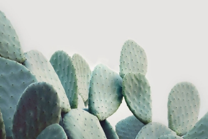 Picture of GREEN PASTEL CACTUS