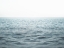 Picture of HORIZON