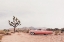 Picture of IN THE DESERT