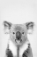 Picture of KOALA