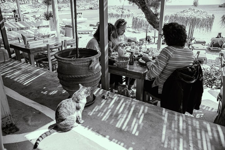 Picture of LUNCHEON