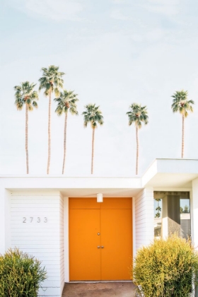 Picture of PALM SPRINGS ORANGE DOOR