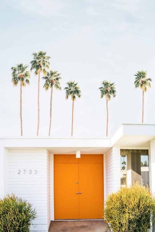 Picture of PALM SPRINGS ORANGE DOOR