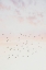 Picture of PASTEL SKY FLIGHT