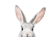 Picture of PEEKABO BUNNY