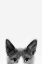 Picture of PEEKABOO KITTY