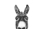 Picture of PEEKING DONKEY IN BLACK AND WHITE