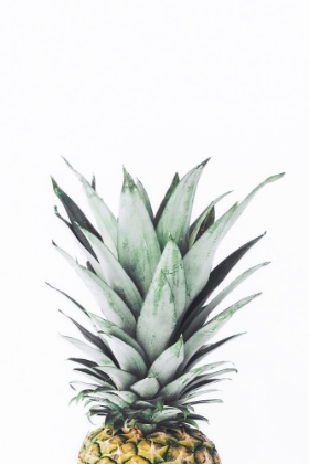 Picture of PINEAPPLE