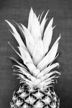 Picture of PINEAPPLE IN BLACK AND WHITE