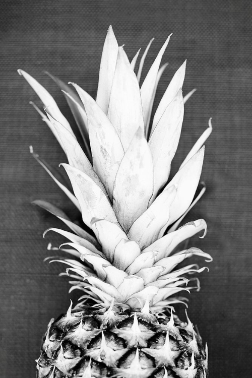 Picture of PINEAPPLE IN BLACK AND WHITE