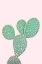 Picture of PINK OPUNTIA