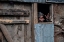 Picture of PORTRAITS OF KASHMIR-19