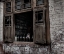 Picture of PORTRAITS OF KASHMIR-35