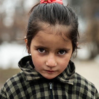Picture of PORTRAITS OF KASHMIR-4