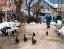 Picture of PORTRAITS OF KASHMIR-8