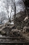 Picture of SHEPHERDS OF KASHMIR-3