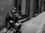 Picture of STREET MUSICIAN