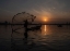 Picture of SUNSET FISHING AT DAL