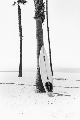 Picture of SURF BOARD IN BLACK AND WHITE