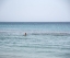 Picture of SWIMMER