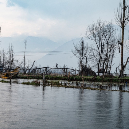 Picture of TIME SPENT AT DAL LAKE-3