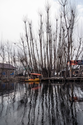 Picture of TIME SPENT AT DAL LAKE-5