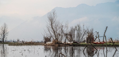 Picture of TIME SPENT AT DAL LAKE-7